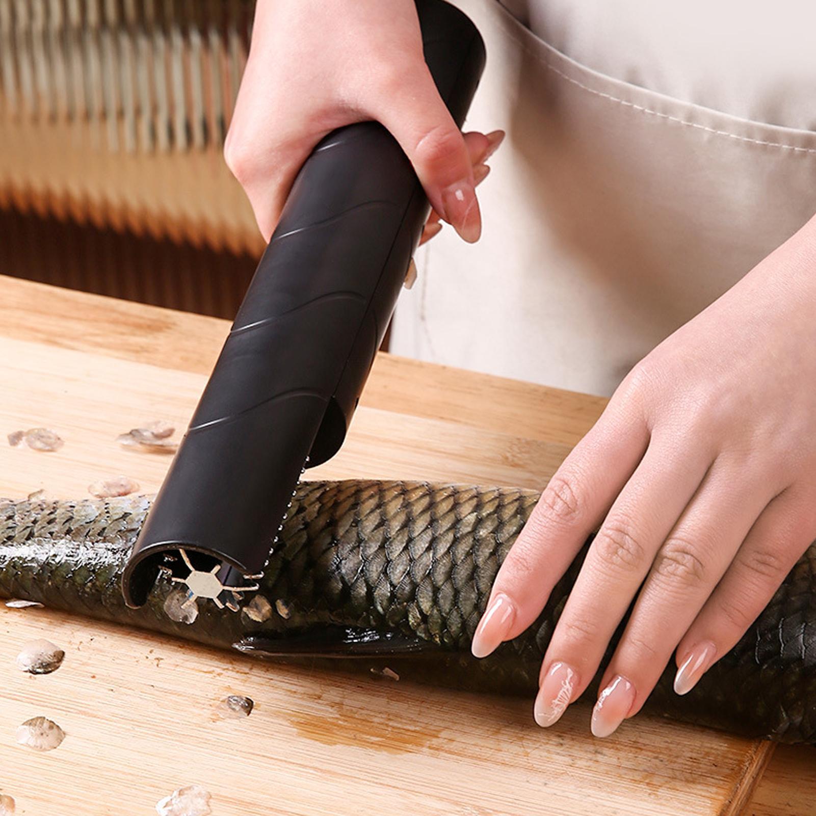 Fischschuppenentferner, kabell – Meal Prep Restaurant Bewertung und Preis