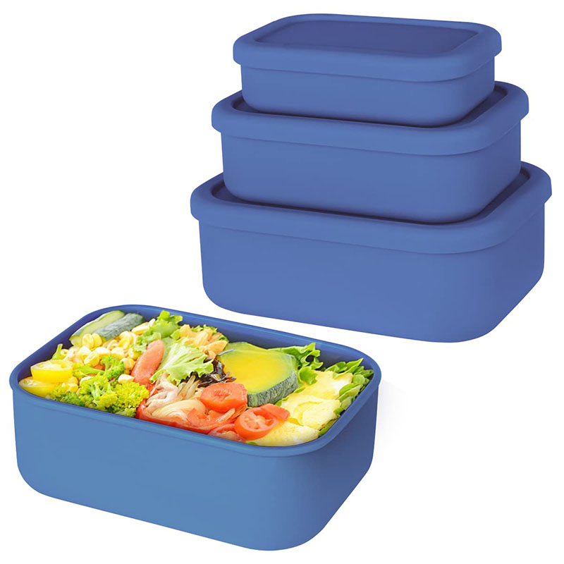 Auslaufsichere Bento-Lunchbox, – Meal Prep Lunch Bewertung und Preis