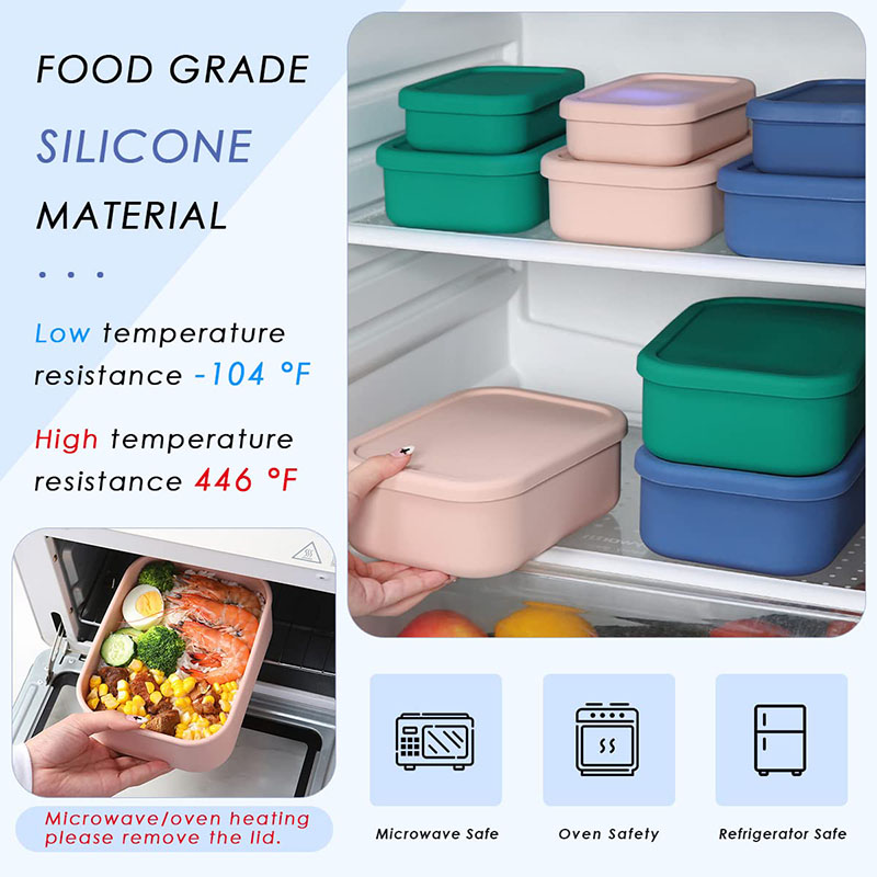 Auslaufsichere Bento-Lunchbox, – Meal Prep Lunch Bewertung und Preis