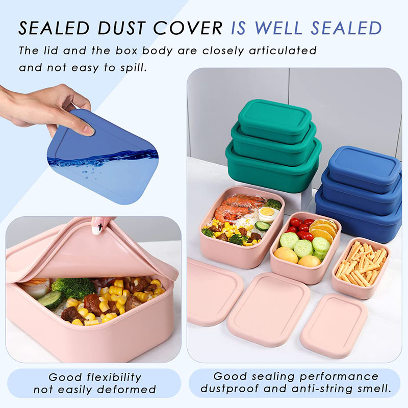 Auslaufsichere Bento-Lunchbox, – Meal Prep Lunch Bewertung und Preis